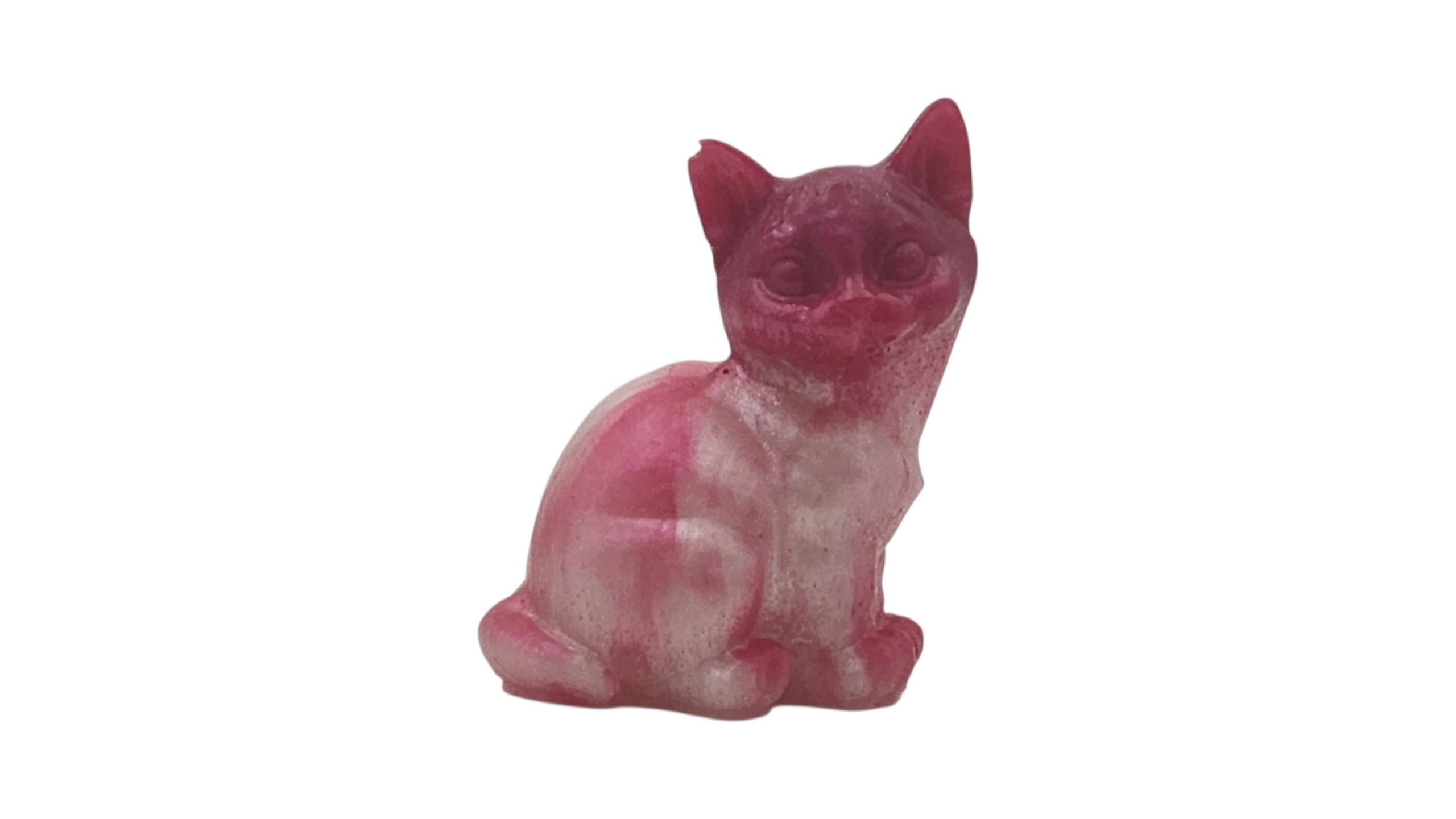 Cat 1