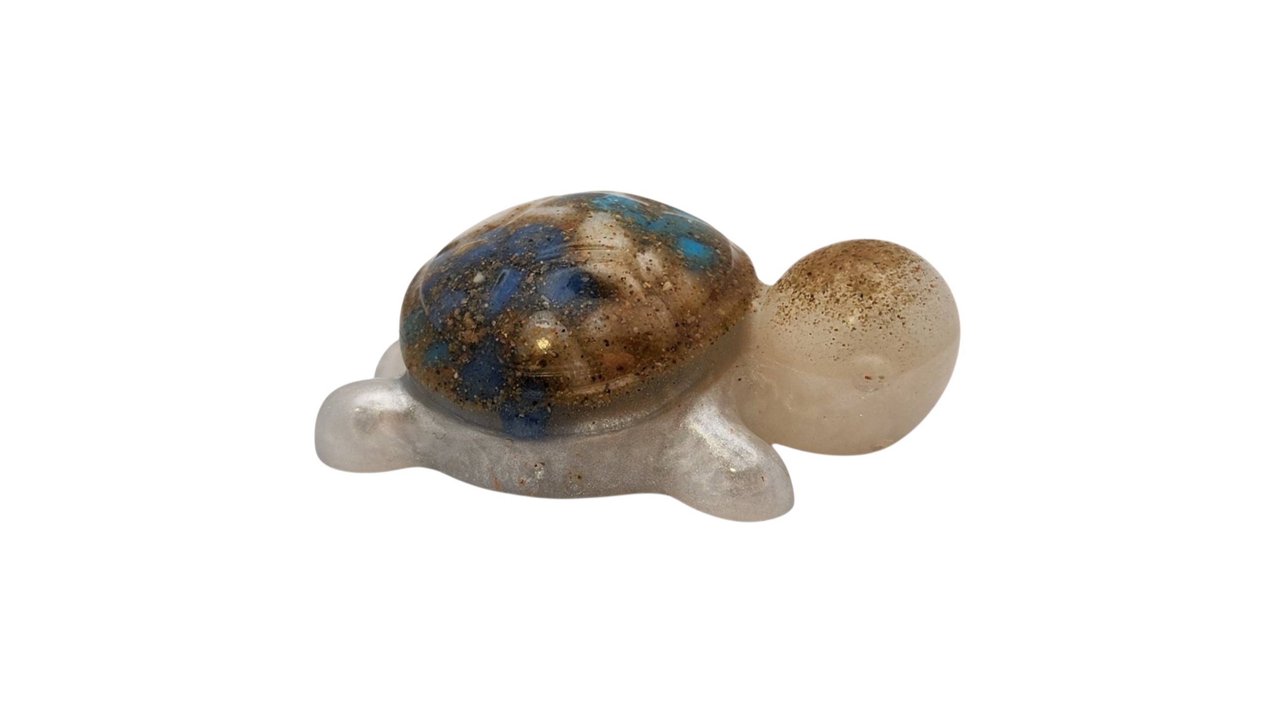 Little turtle 1