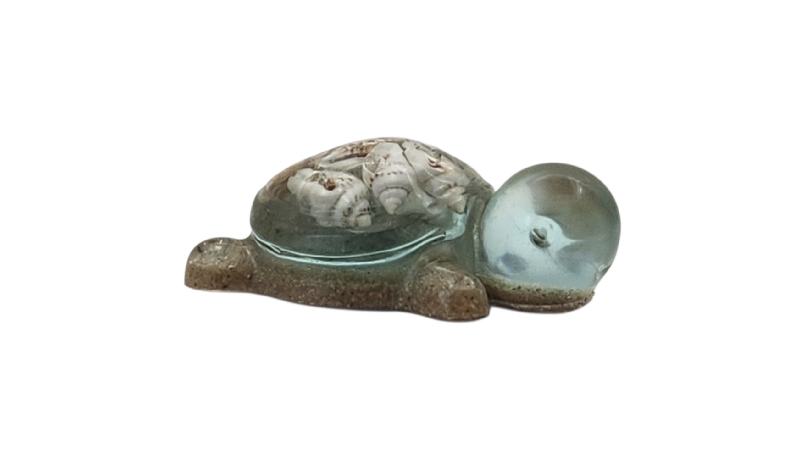 Little turtle 1