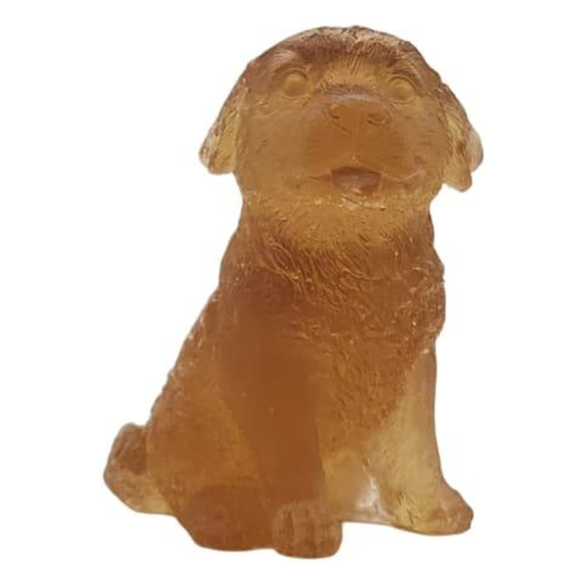 Labrador dog