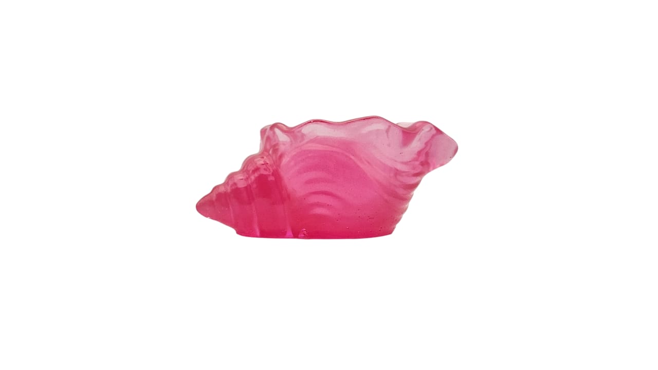 Whelk shell