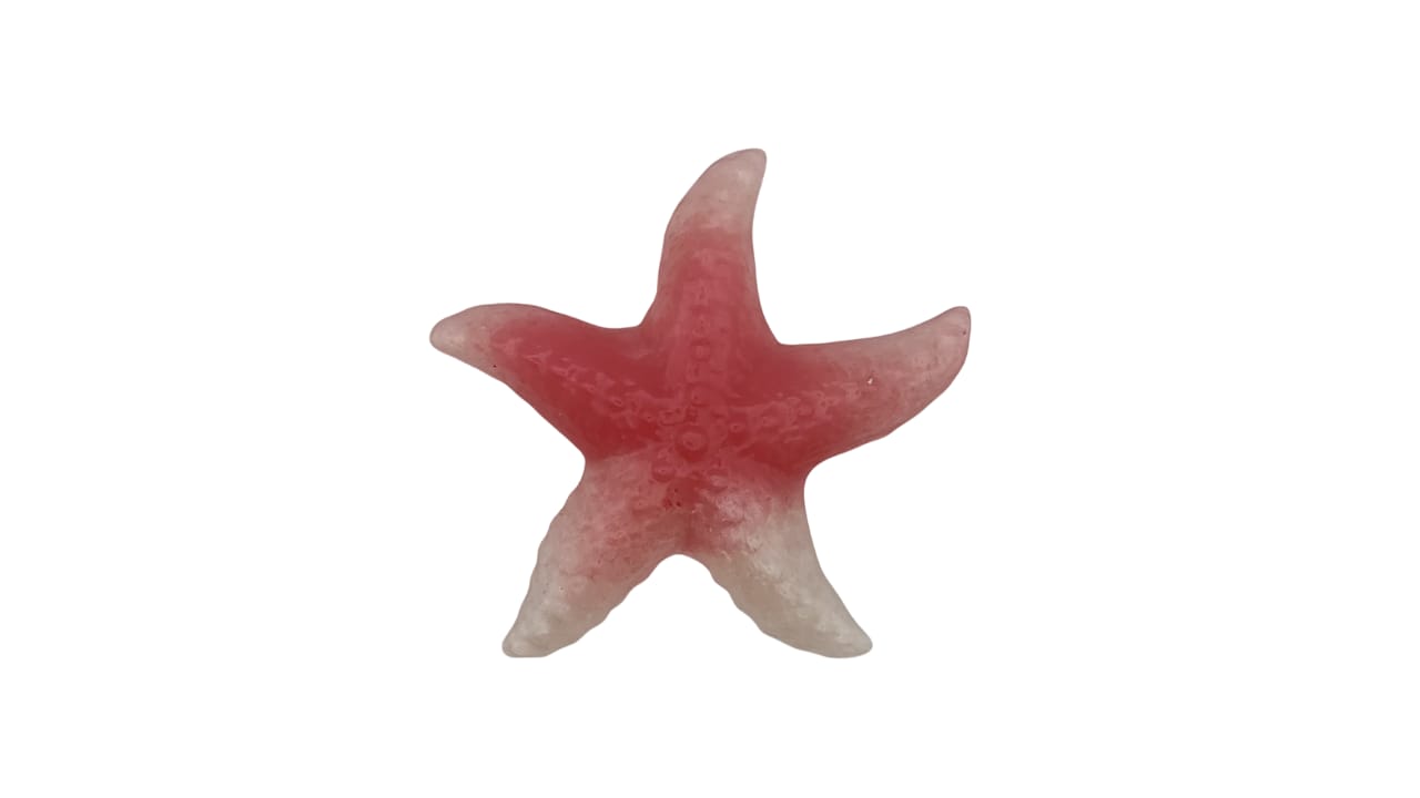Starfish