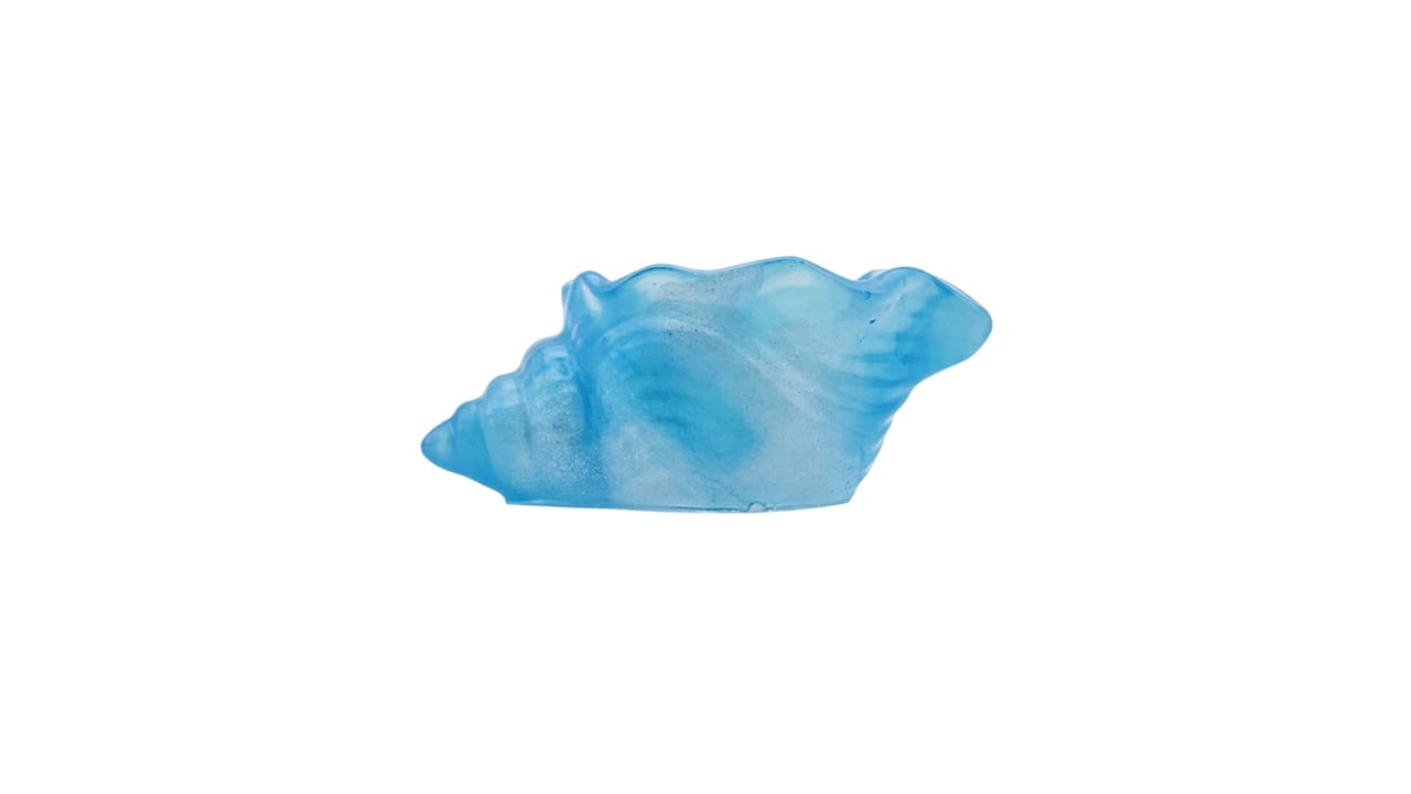 Whelk shell