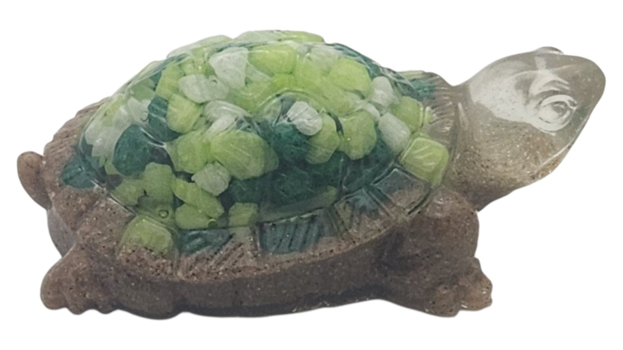 Little turtle 2