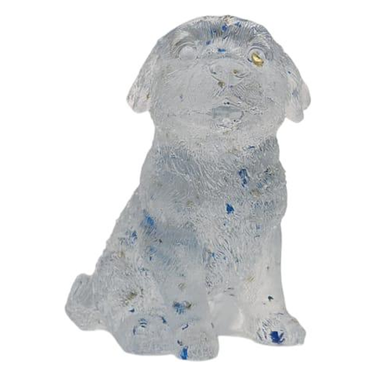 Labrador dog