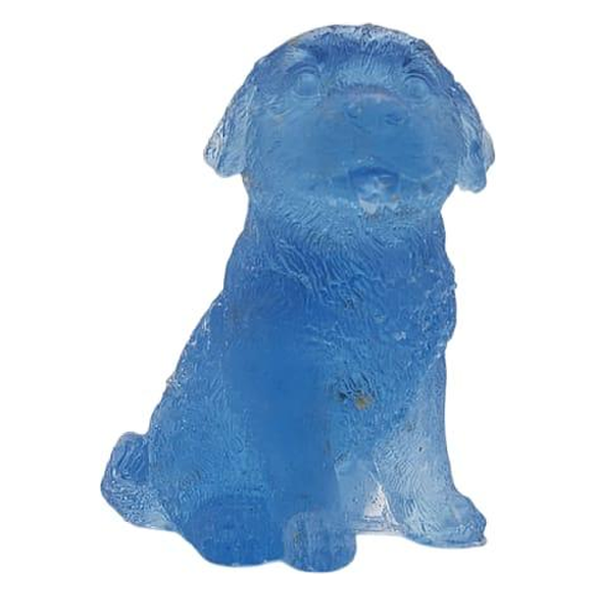 Labrador dog