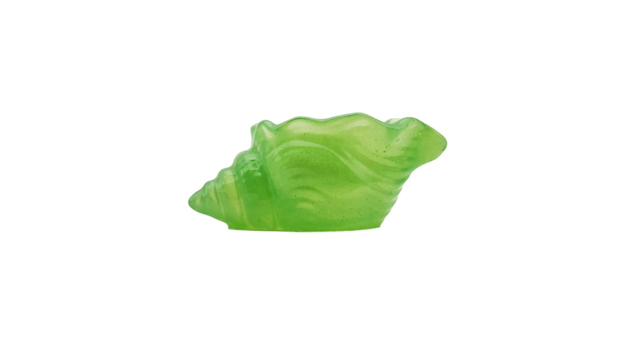 Whelk shell