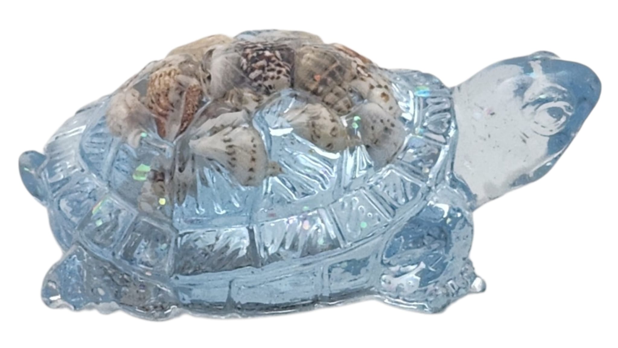 Little turtle 2
