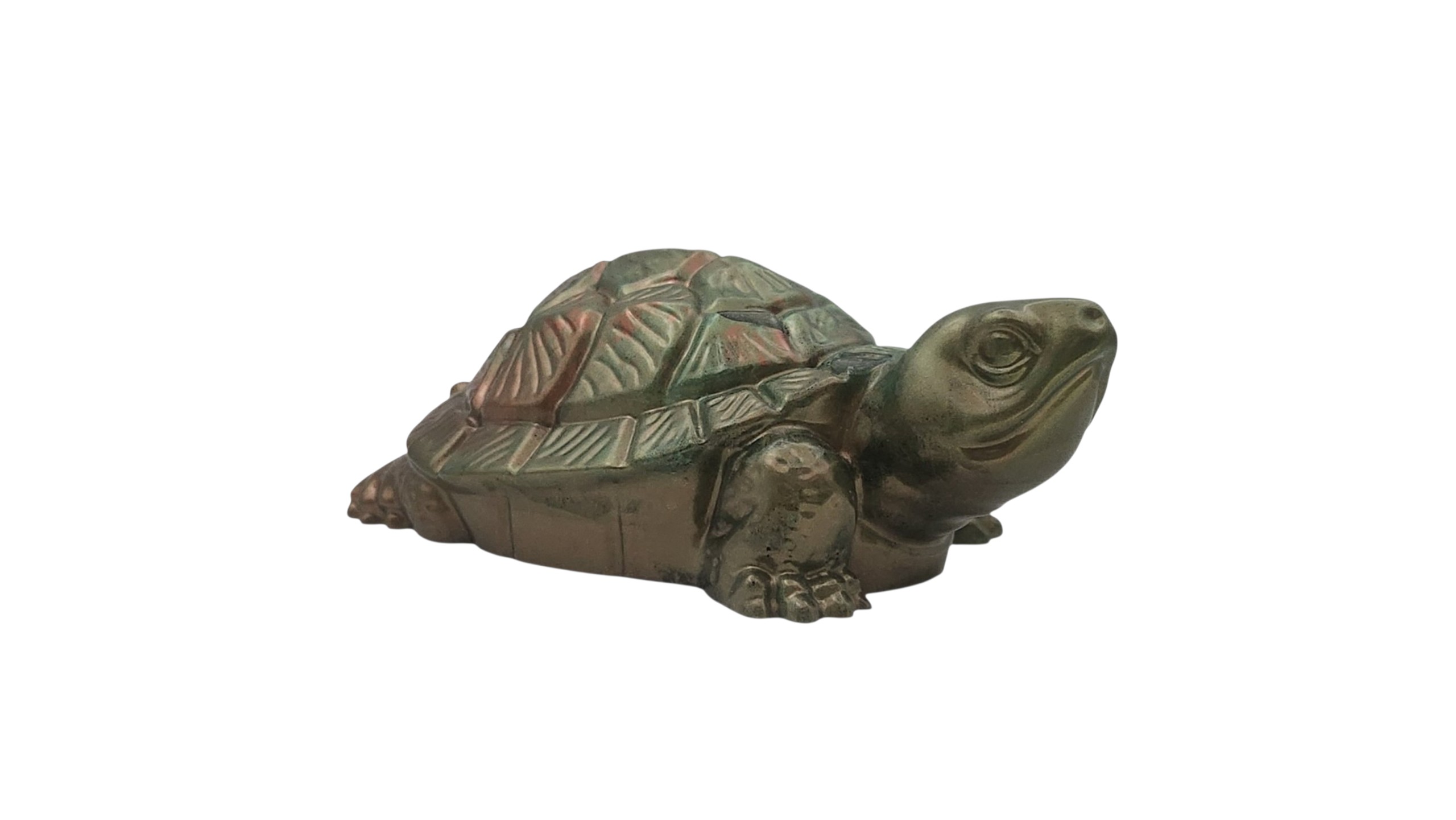 Big turtle