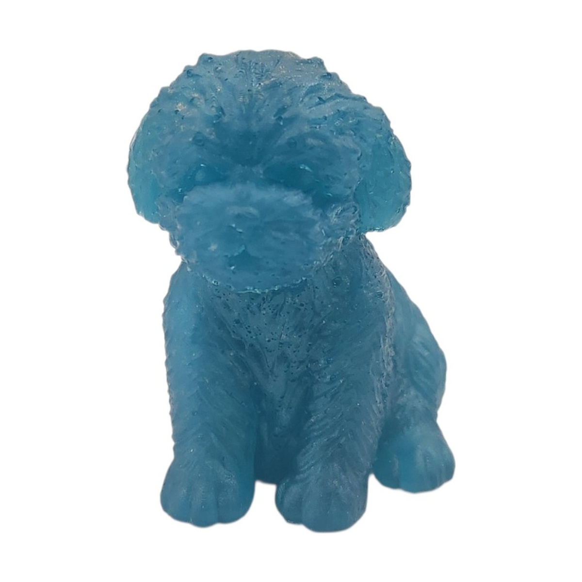 Portuguese water dog