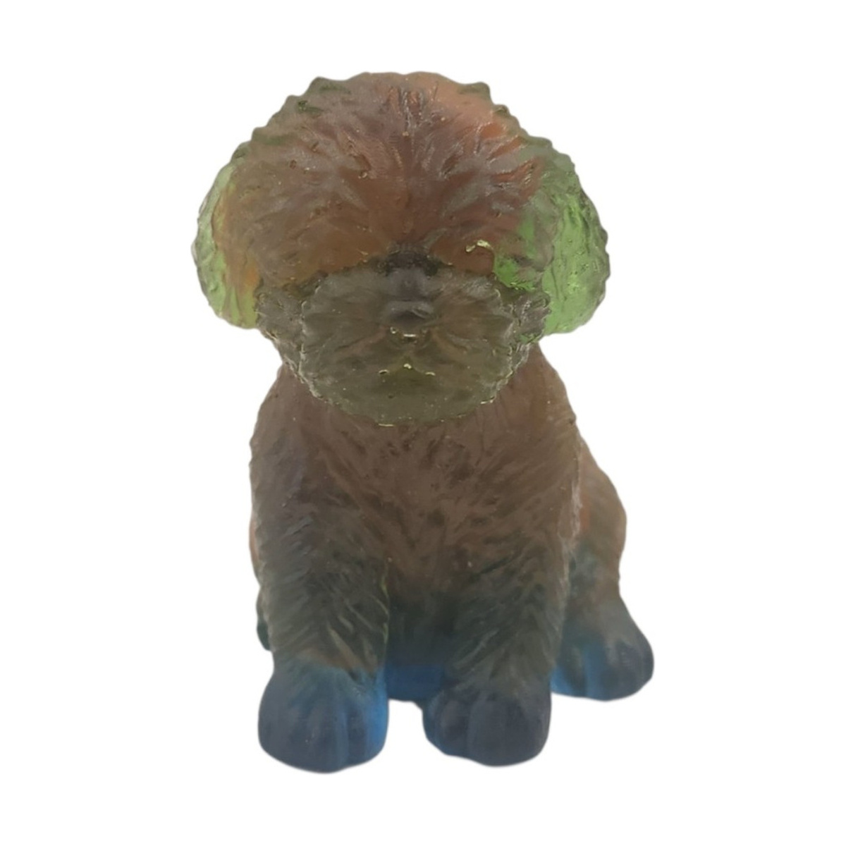 Portuguese water dog