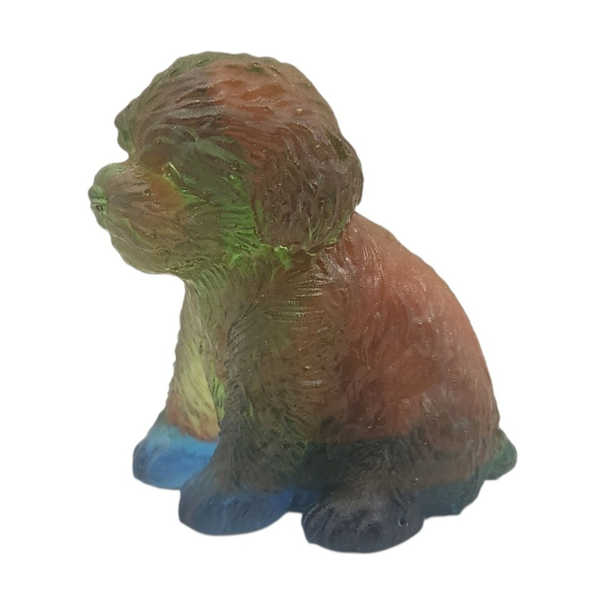 Portuguese water dog