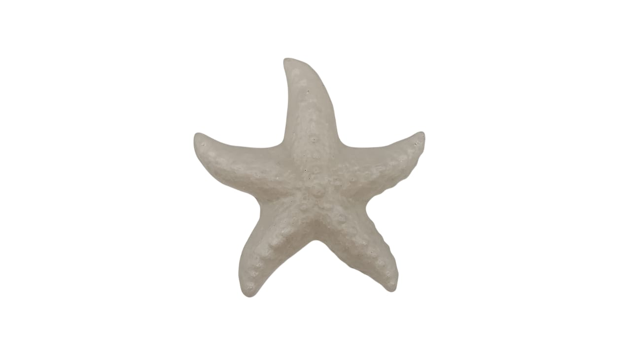 Starfish