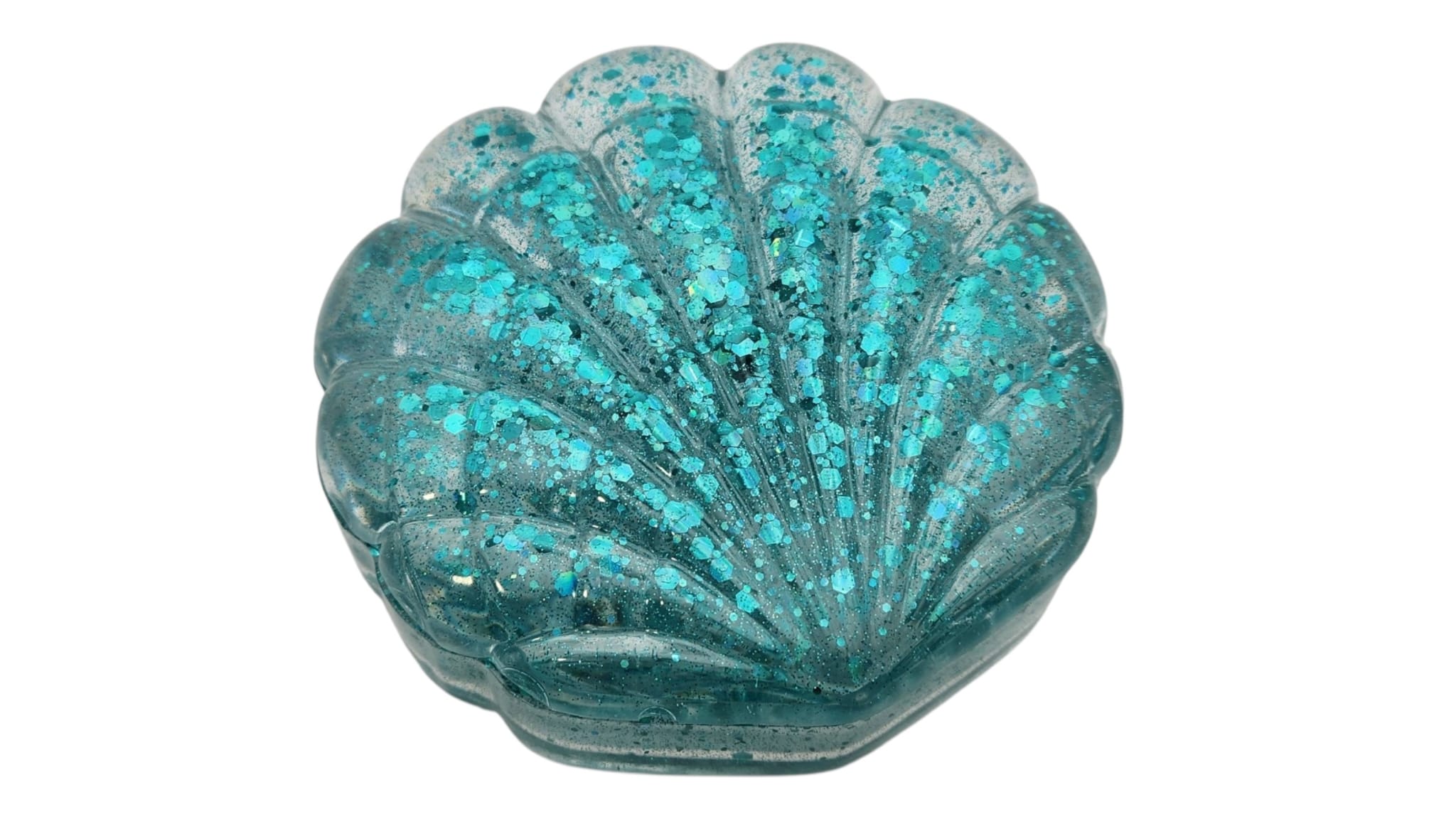 Seashell jewelry box