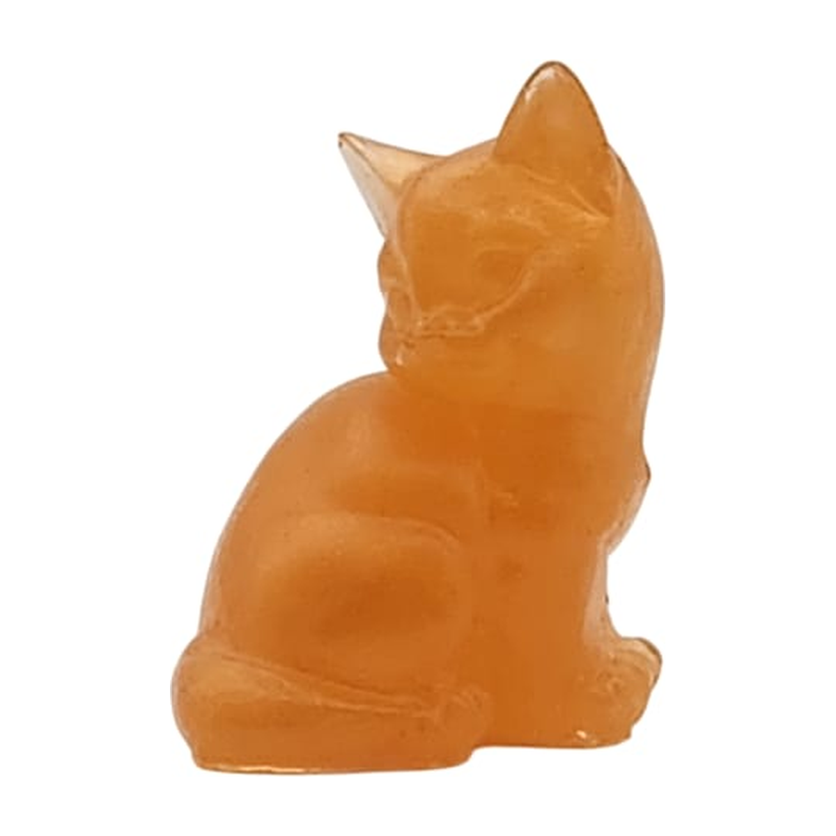 Cat 4