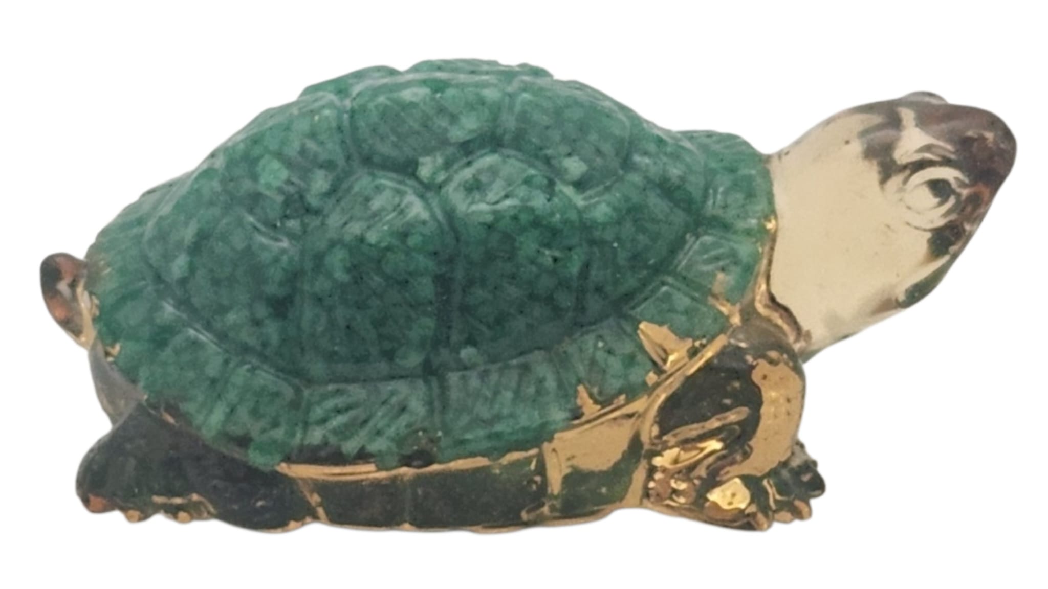 Little turtle 2