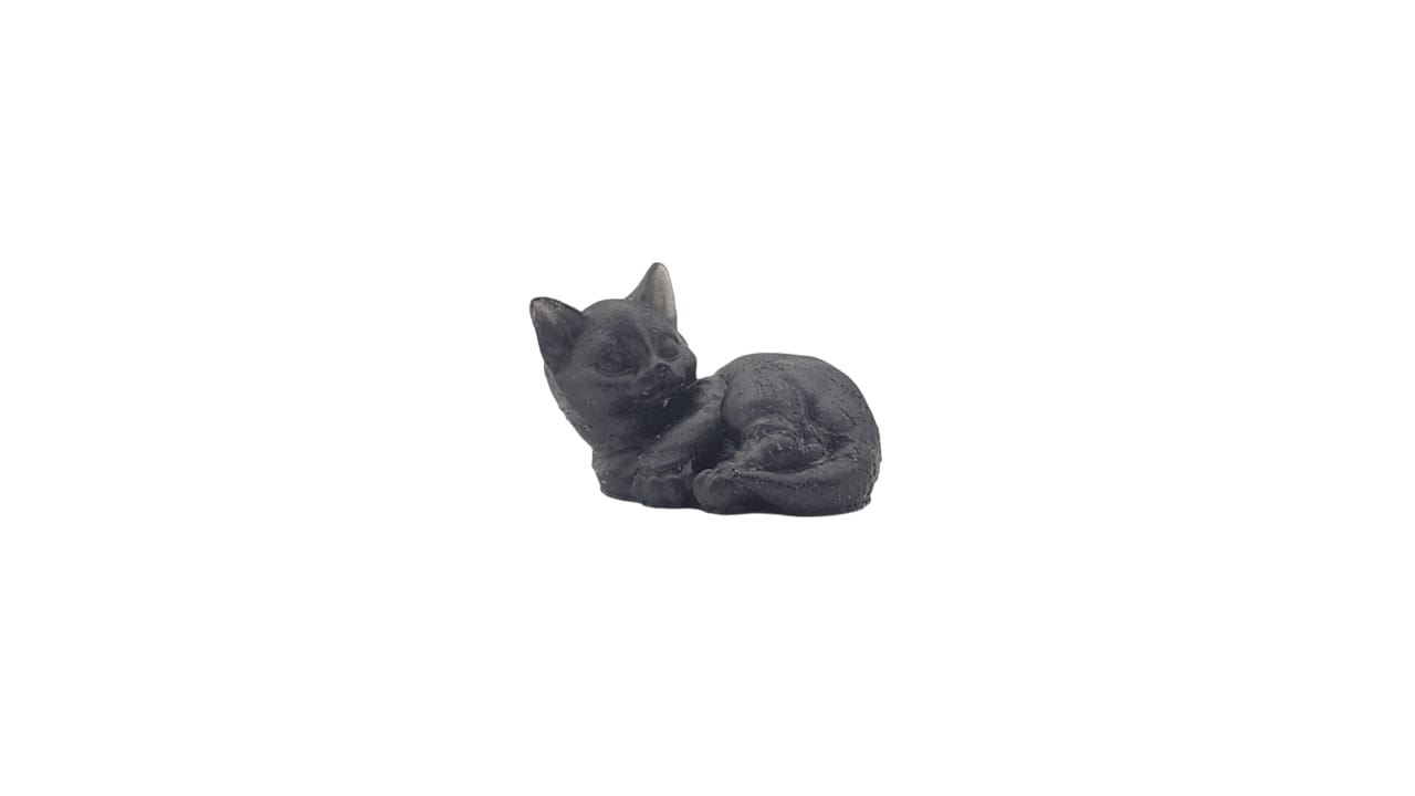 Cat 2