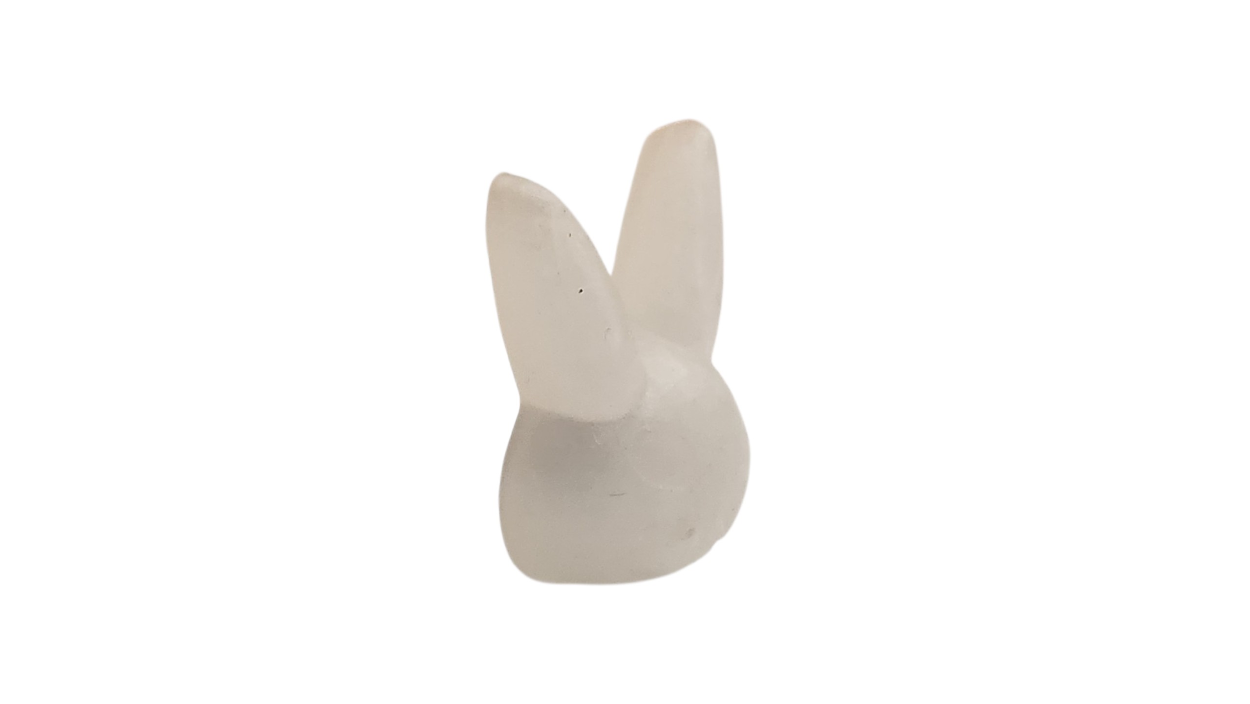 Rabbit head