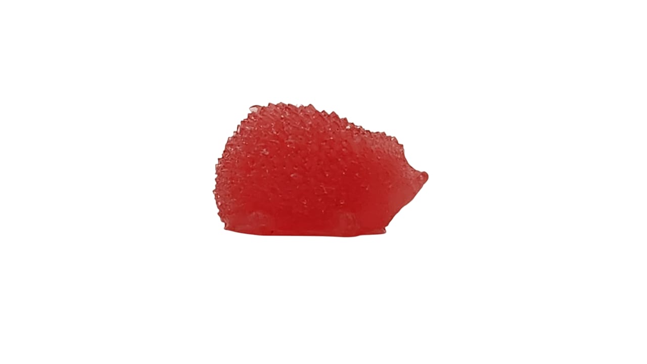 Hedgehog