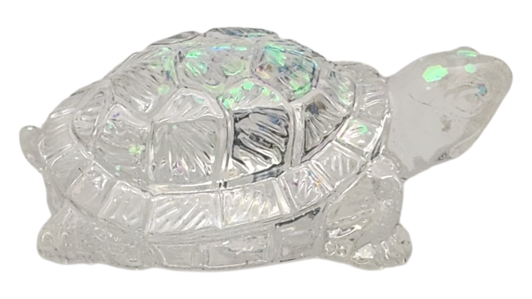 Little turtle 2