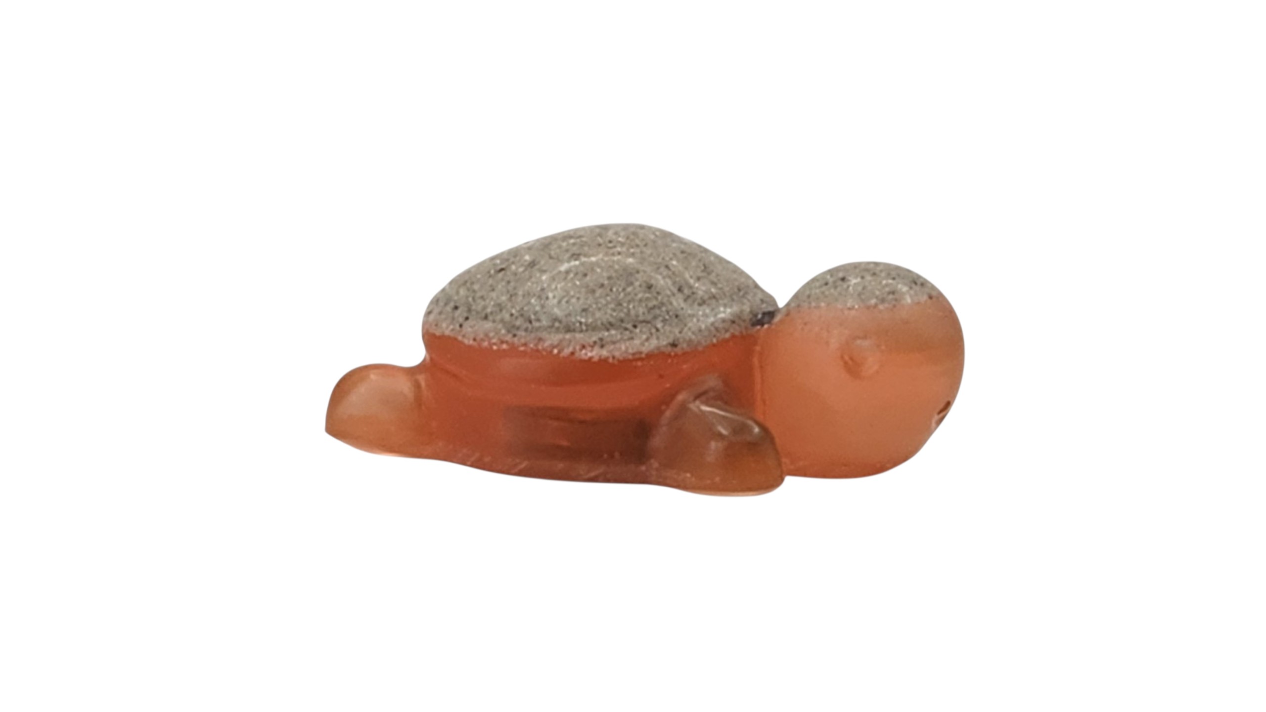 Little turtle 1