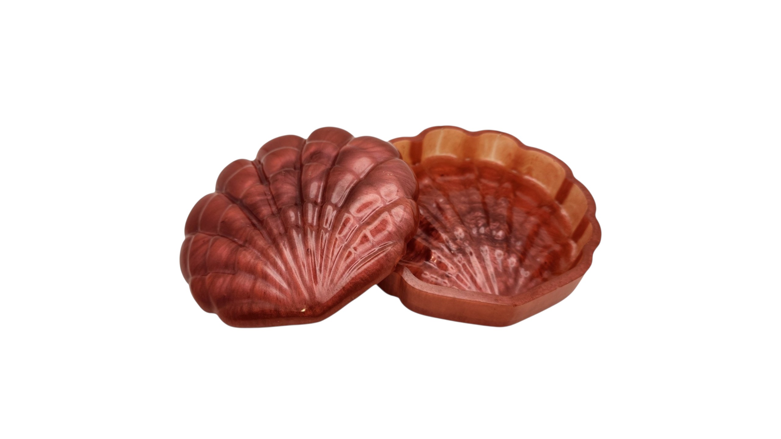 Seashell jewelry box