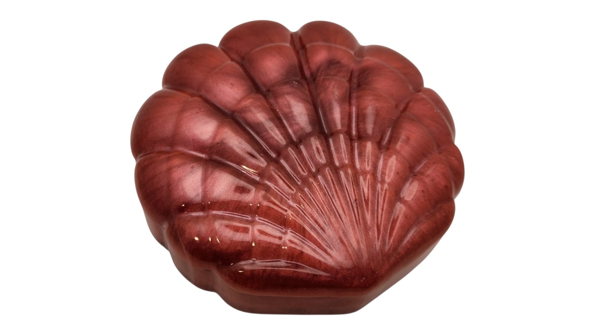 Seashell jewelry box