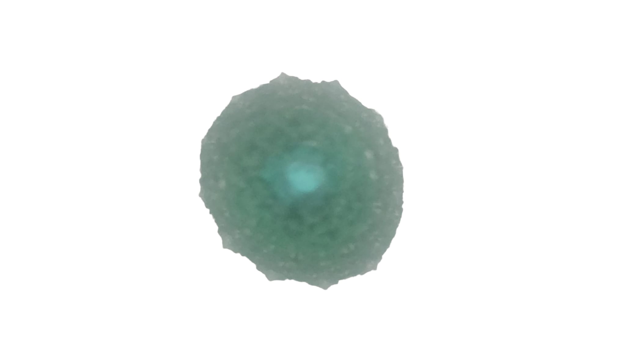 Sapin Vert Cone